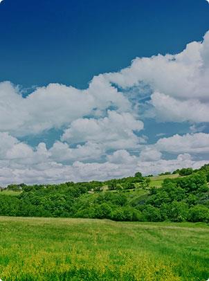 AG�콢�� (�й���½) �ٷ���վ