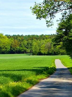 AG�콢�� (�й���½) �ٷ���վ